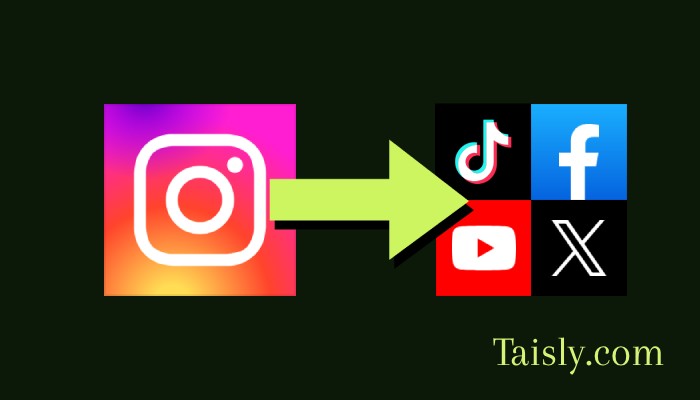 Auto Repost Instagram Reels to Different Social Media Platforms